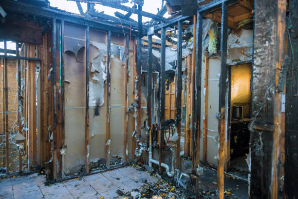 Professional Fire Damage Removal technician working in Mont Clare, PA
