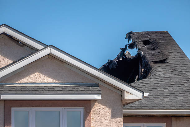 Top rated local Fire Damage Removal specialists in Mont Clare, PA